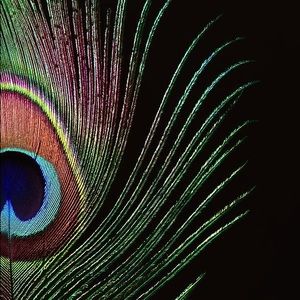 Meet your Posher, Melinda